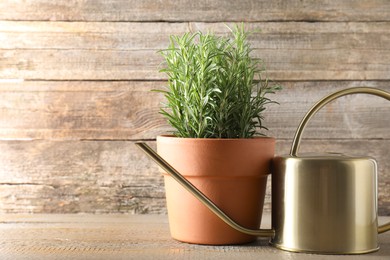 Aromatic rosemary plant in pot and watering can on wooden table, space for text