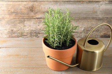 Photo of Aromatic rosemary plant in pot and watering can on wooden table, space for text