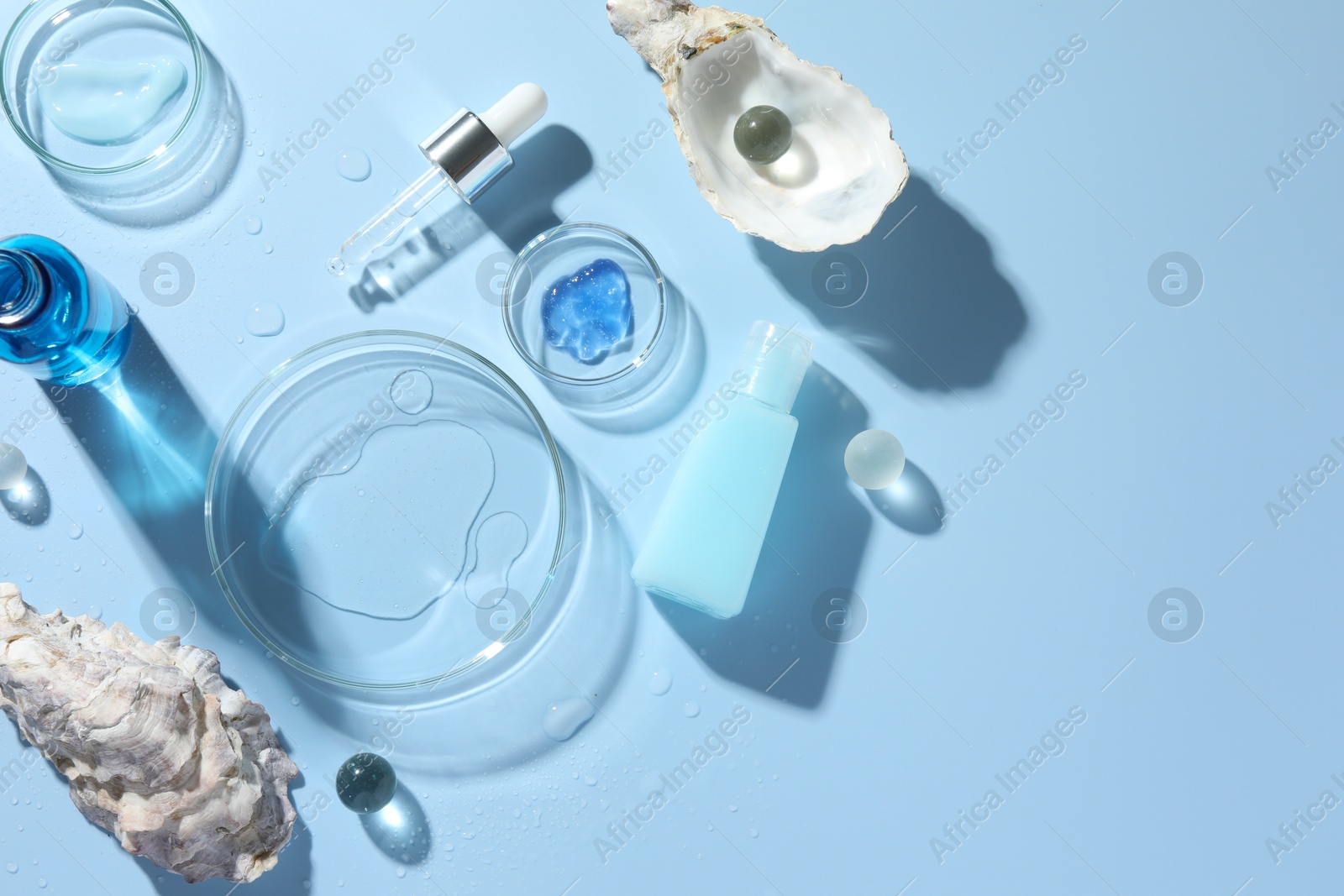 Photo of Petri dishes with cosmetic product, pipette and seashells on light blue background, flat lay. Space for text