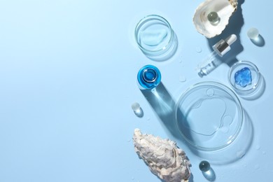 Photo of Petri dishes with cosmetic product, pipette and seashells on light blue background, flat lay. Space for text