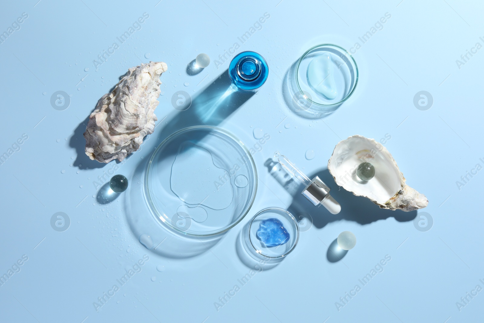 Photo of Petri dishes with cosmetic product, pipette and seashells on light blue background, flat lay