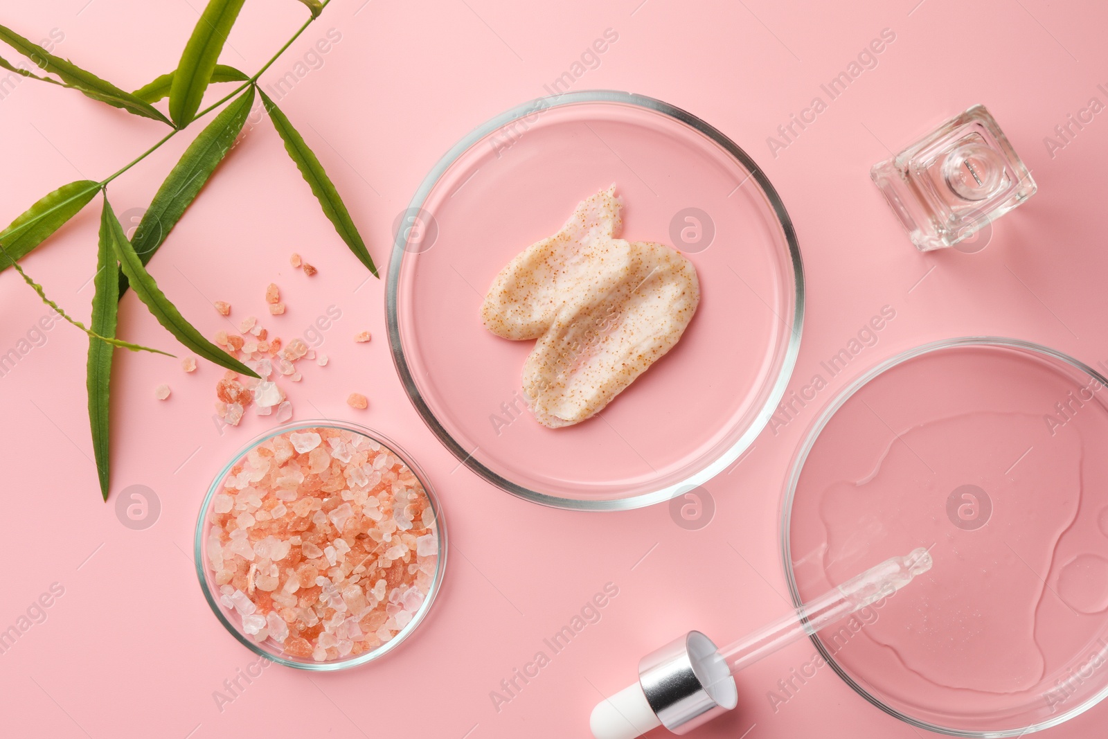 Photo of Petri dishes with cosmetic products, sea salt and leaves on pink background, flat lay