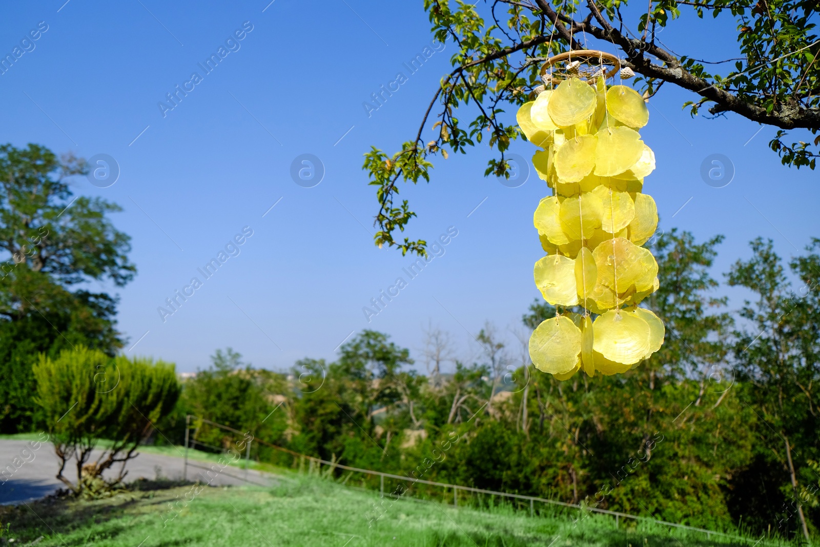 Photo of Beautiful wind chimes hanging on tree outdoors