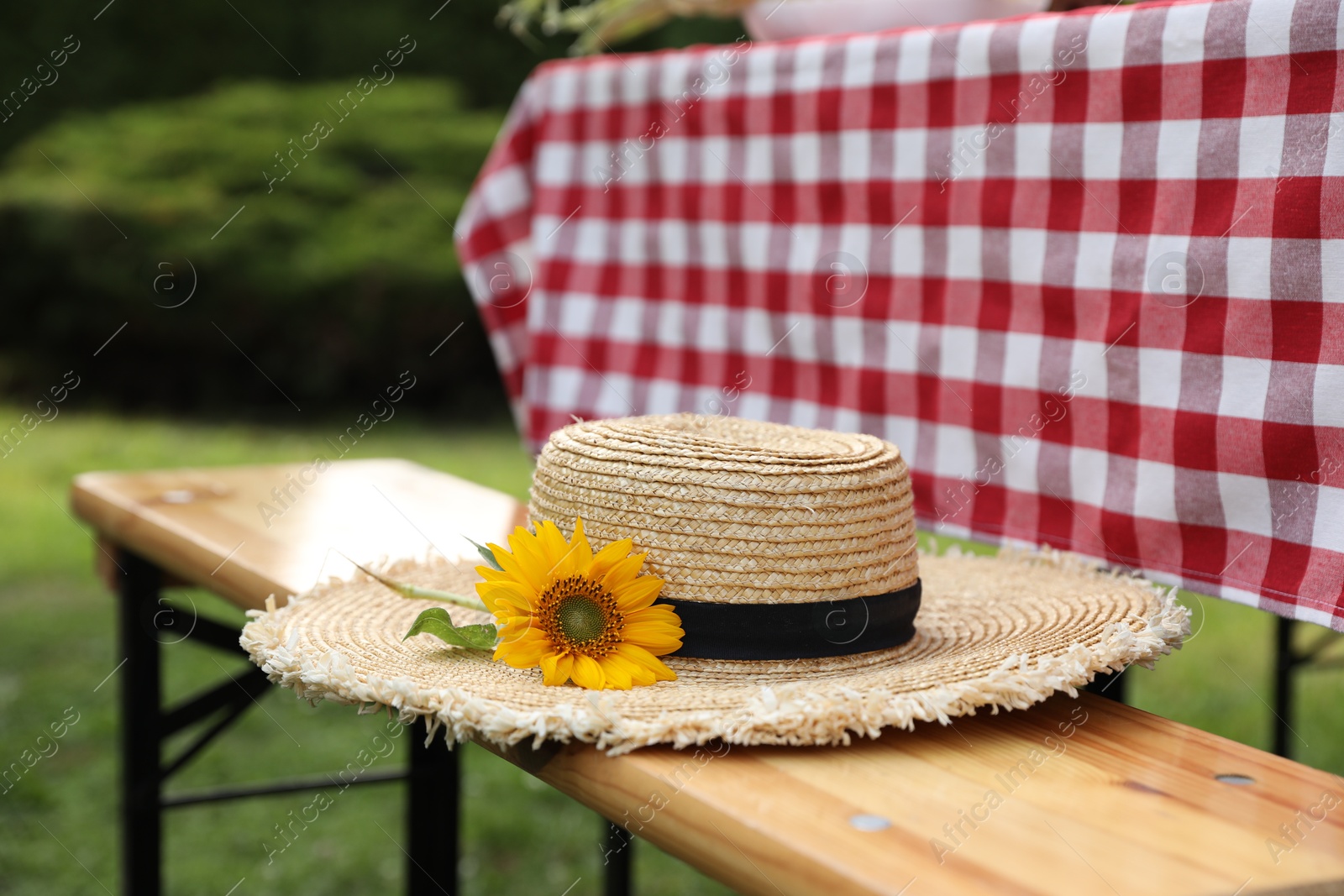 Photo of Straw hat with sunflower on wooden bench in garden, closeup