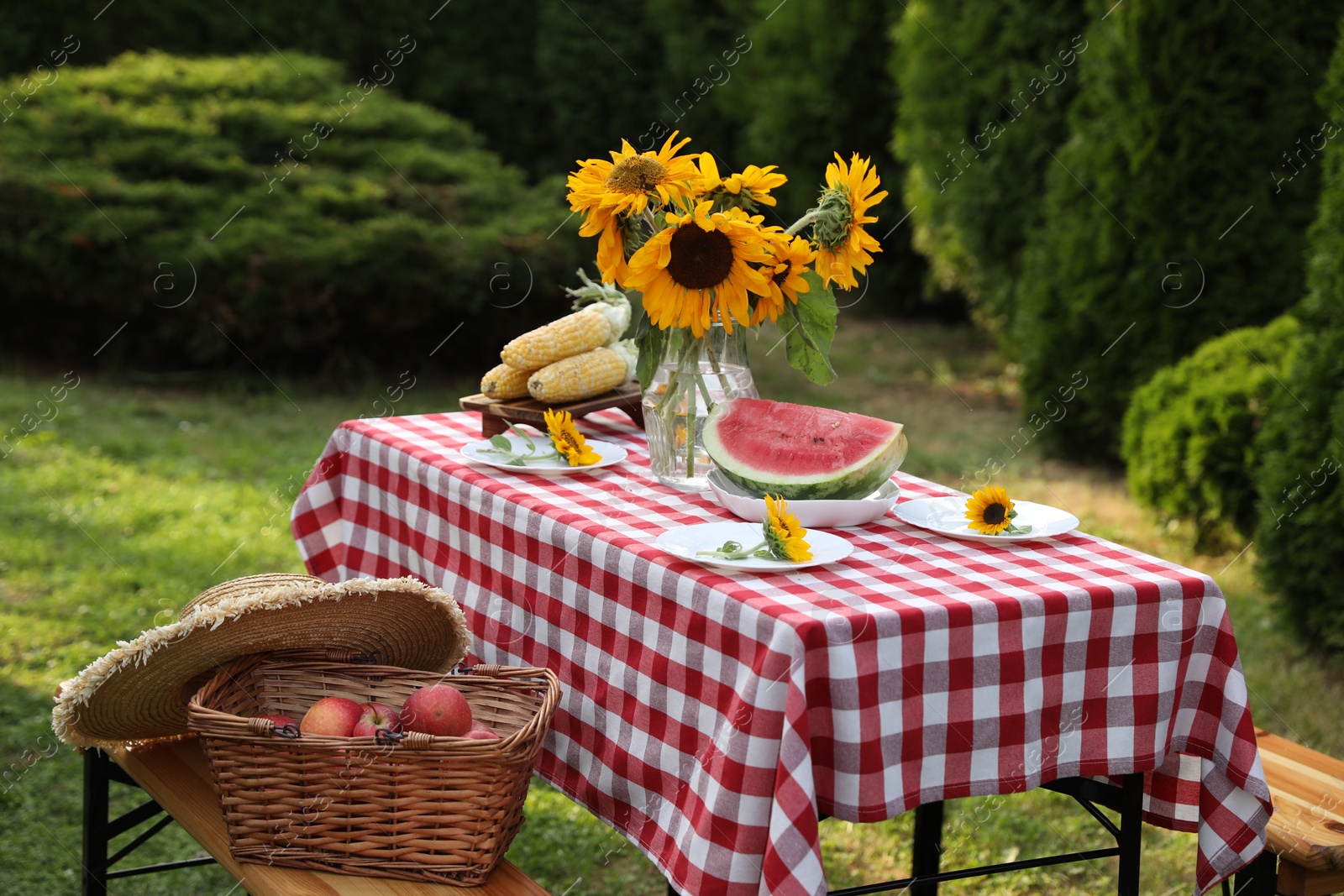 Photo of Vase of sunflowers, watermelon, corn and plates on table in garden