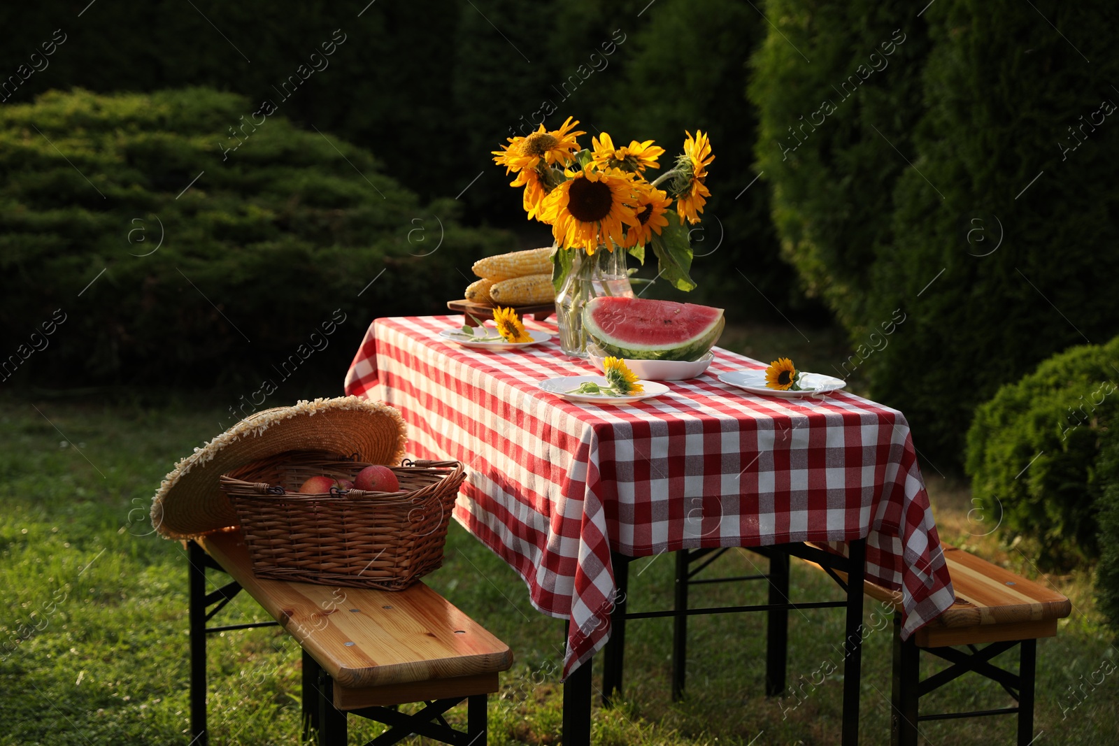 Photo of Vase of sunflowers, watermelon, corn and plates on table in garden