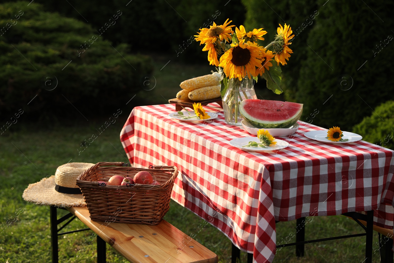 Photo of Vase of sunflowers, watermelon, corn and plates on table in garden