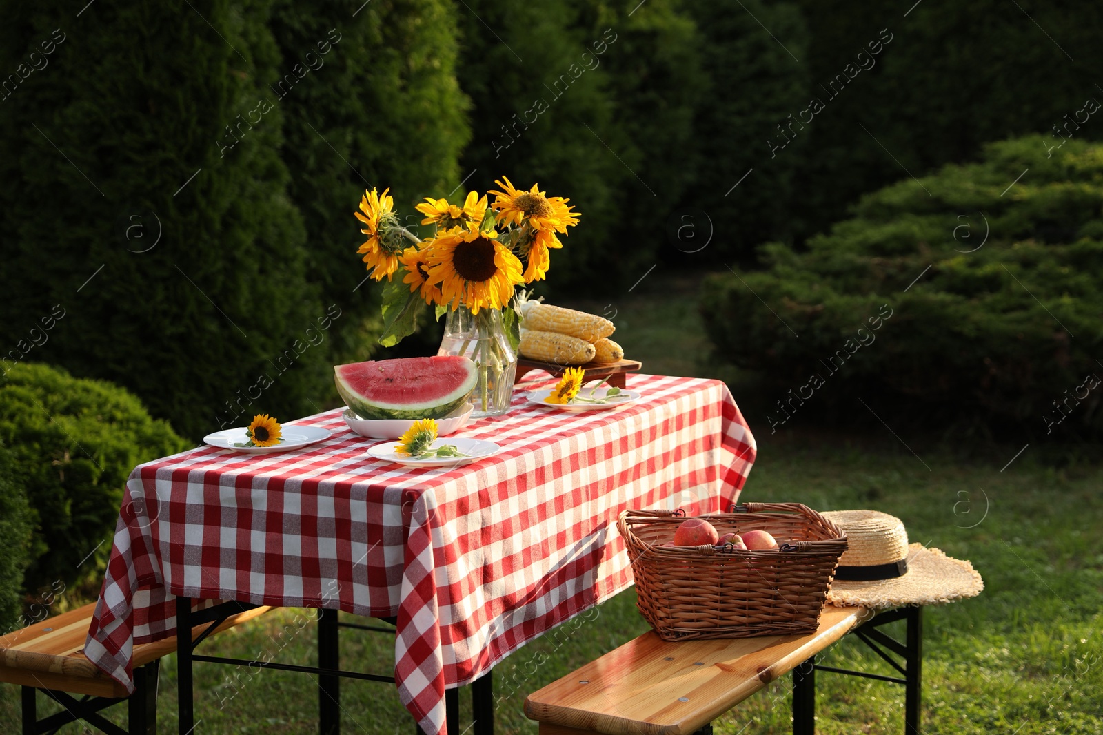 Photo of Vase of sunflowers, watermelon, corn and plates on table in garden