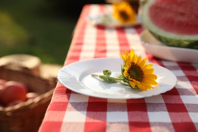 Photo of Plates with sunflowers and watermelon on table in garden, closeup