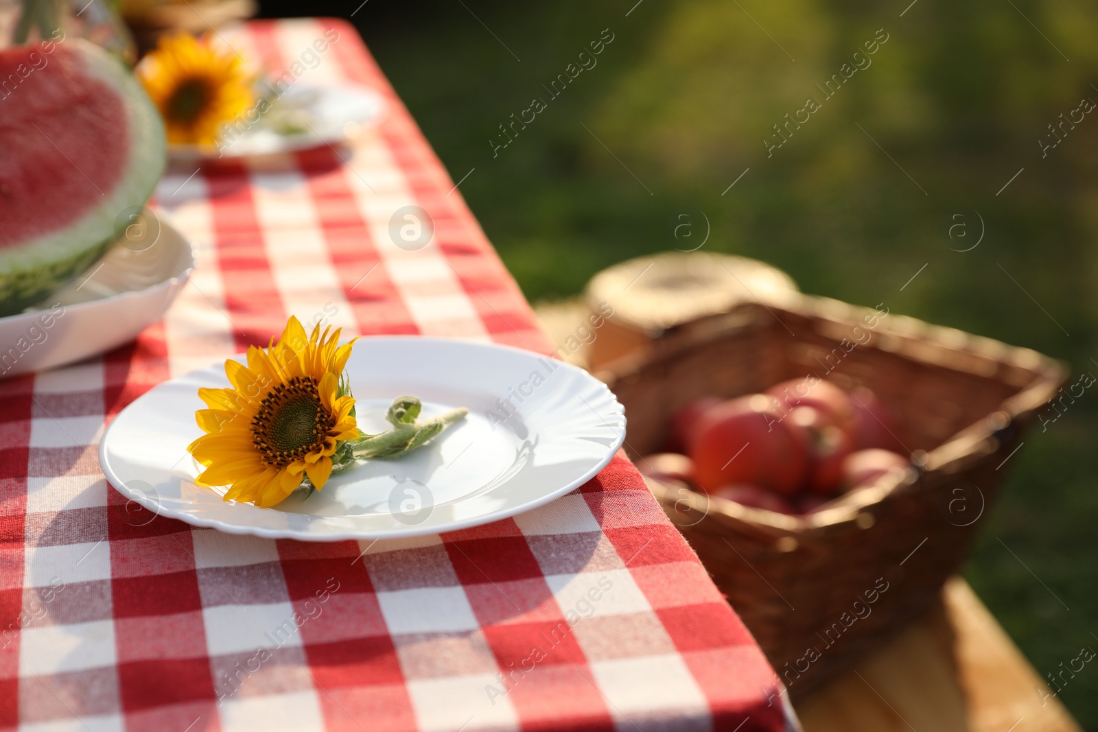 Photo of Plates with sunflowers and watermelon on table in garden, closeup