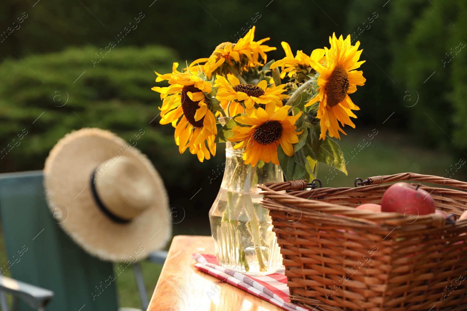 Photo of Vase of sunflowers and wicker basket with apples on wooden table in garden