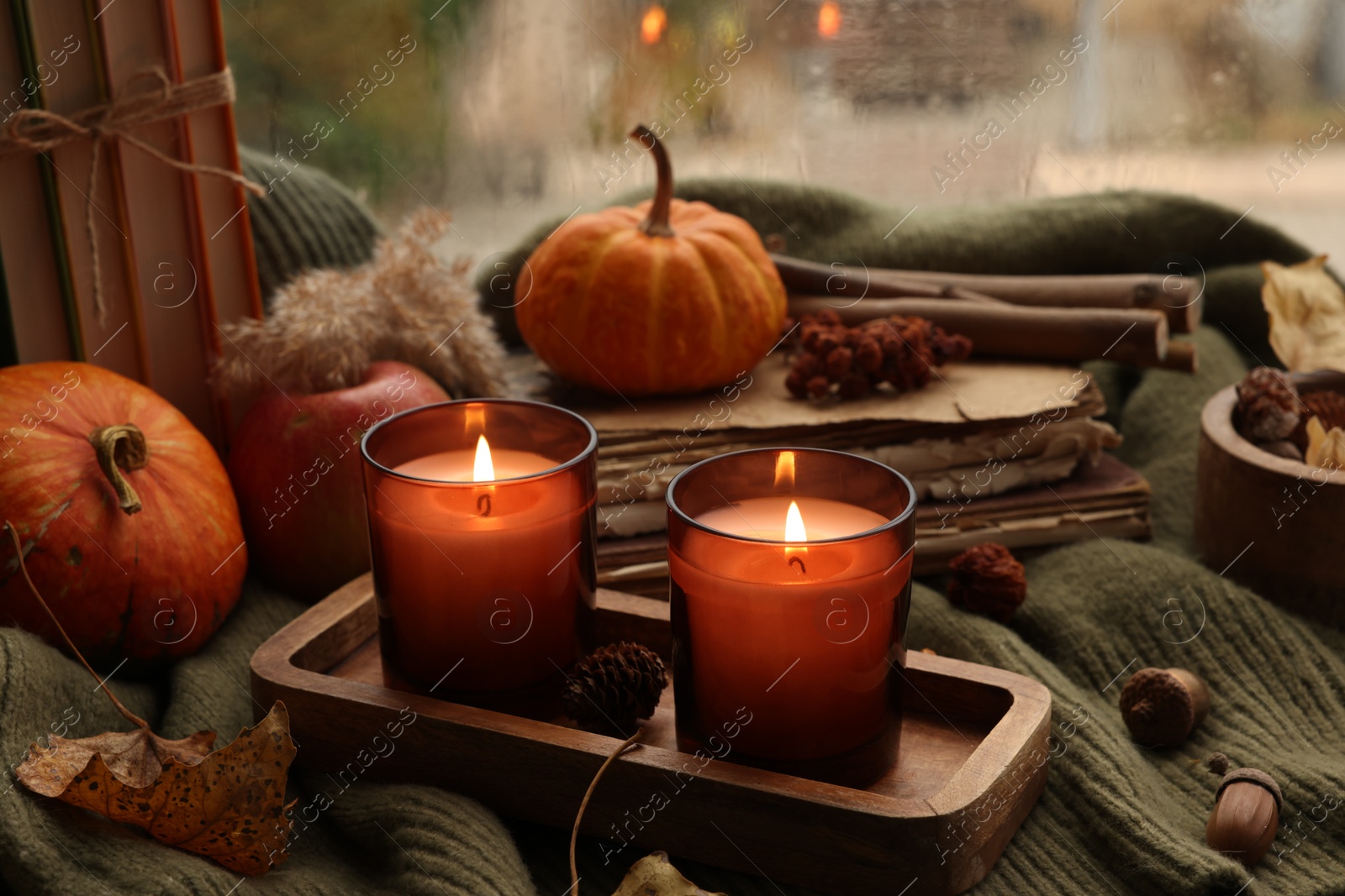 Photo of Burning candles, books and autumn decor on green sweater near window