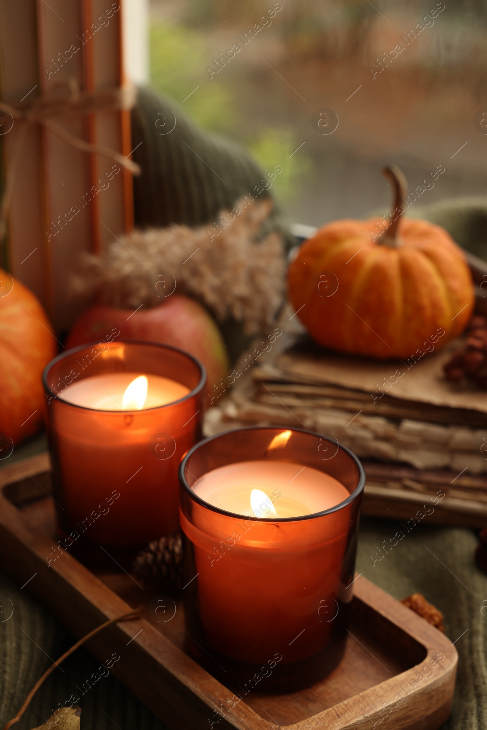 Photo of Burning candles, books and autumn decor on green sweater near window, closeup