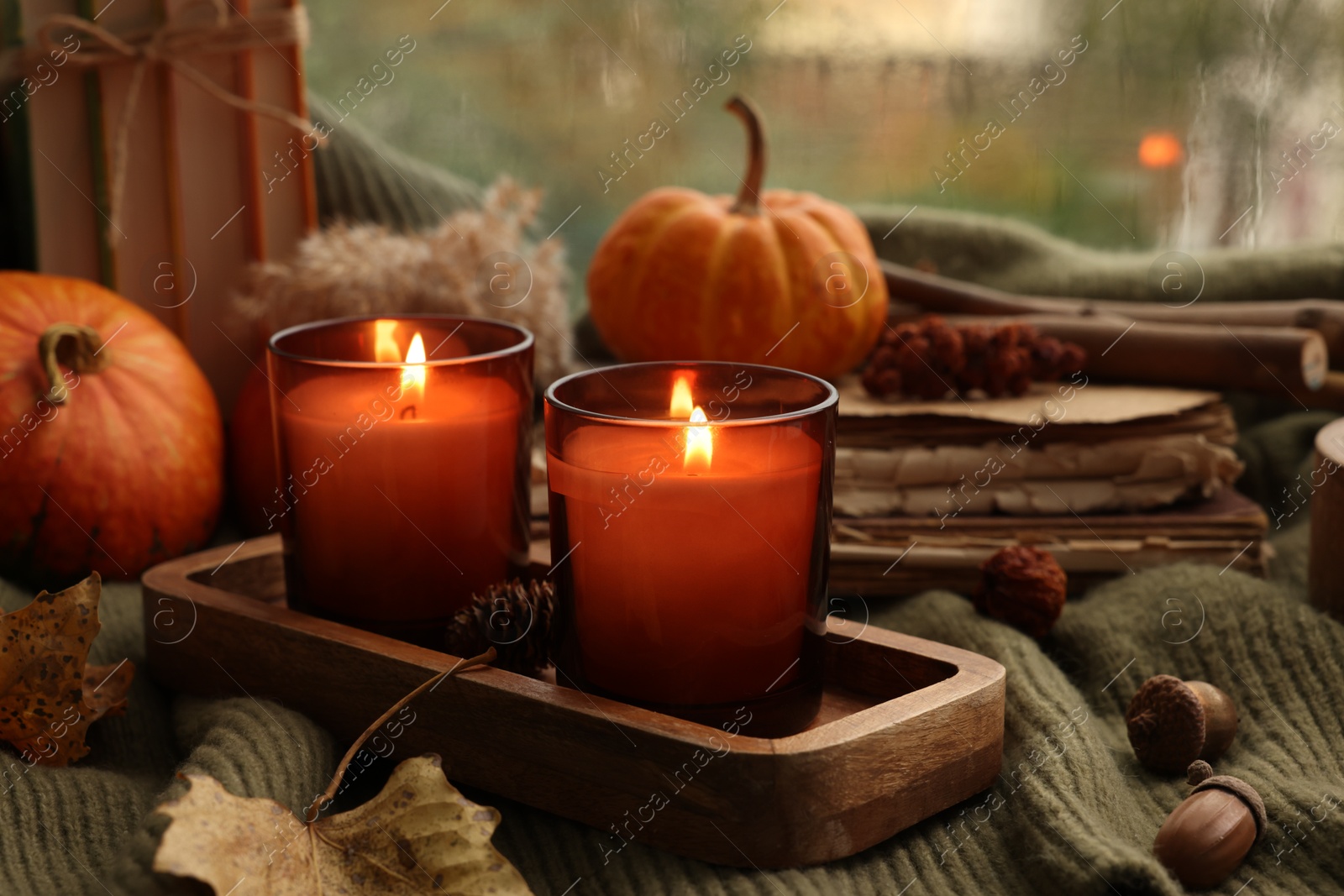 Photo of Burning candles, books and autumn decor on green sweater near window