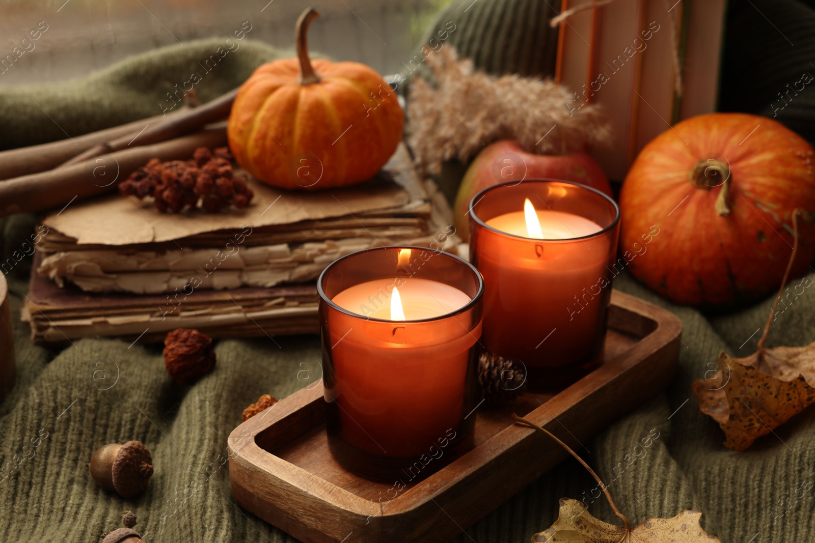 Photo of Burning candles, old books and autumn decor on green sweater