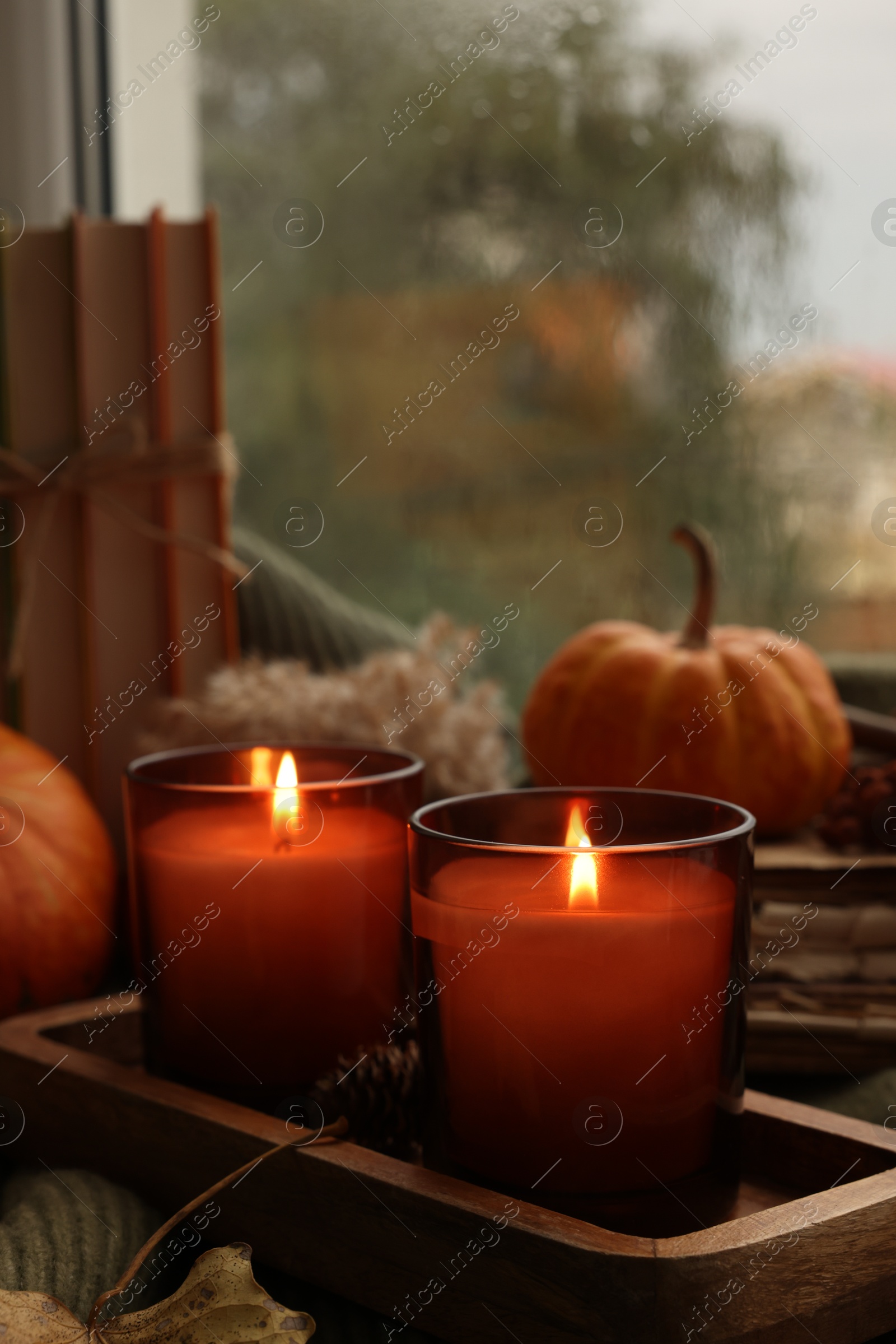 Photo of Burning candles, books and autumn decor on sweater near window, closeup