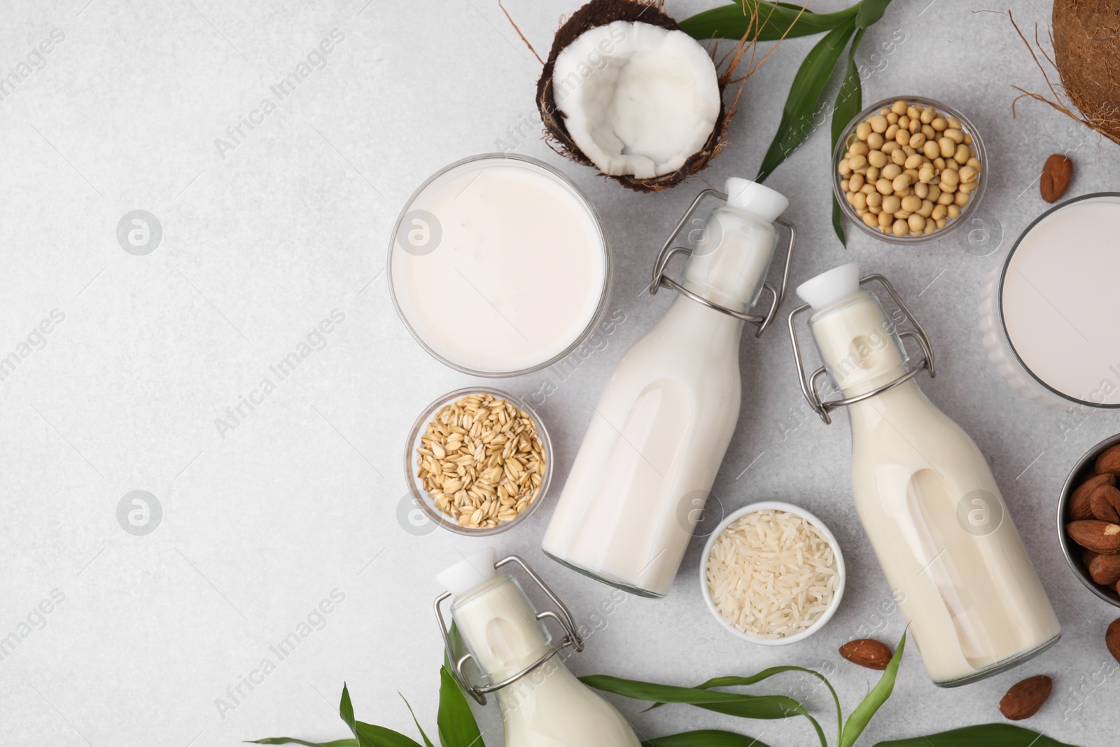 Photo of Different types of vegan milk with ingredients and leaves on light grey table, flat lay. Space for text