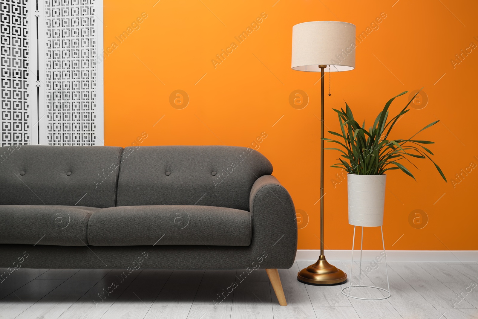 Photo of Stylish sofa, floor lamp and houseplant in room. Interior design