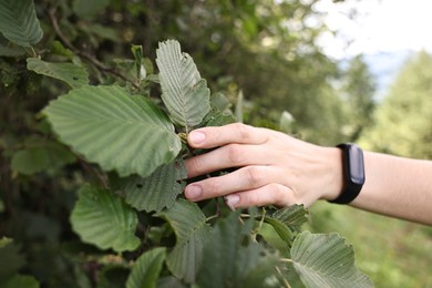 Photo of Young hiker near plant with green leaves, closeup