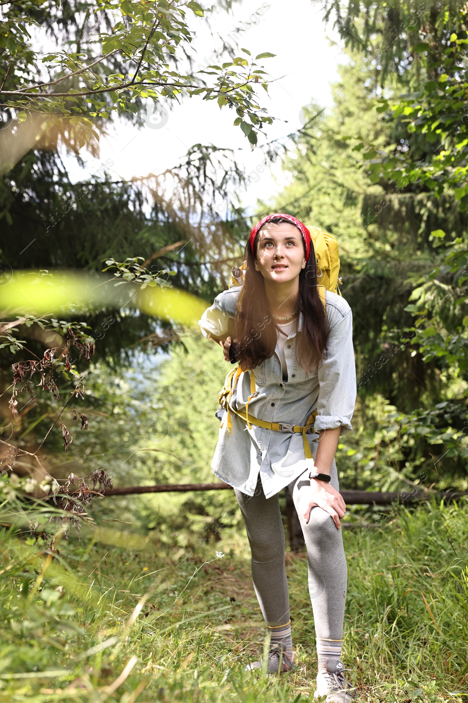 Photo of Young hiker with backpack enjoying time in forest