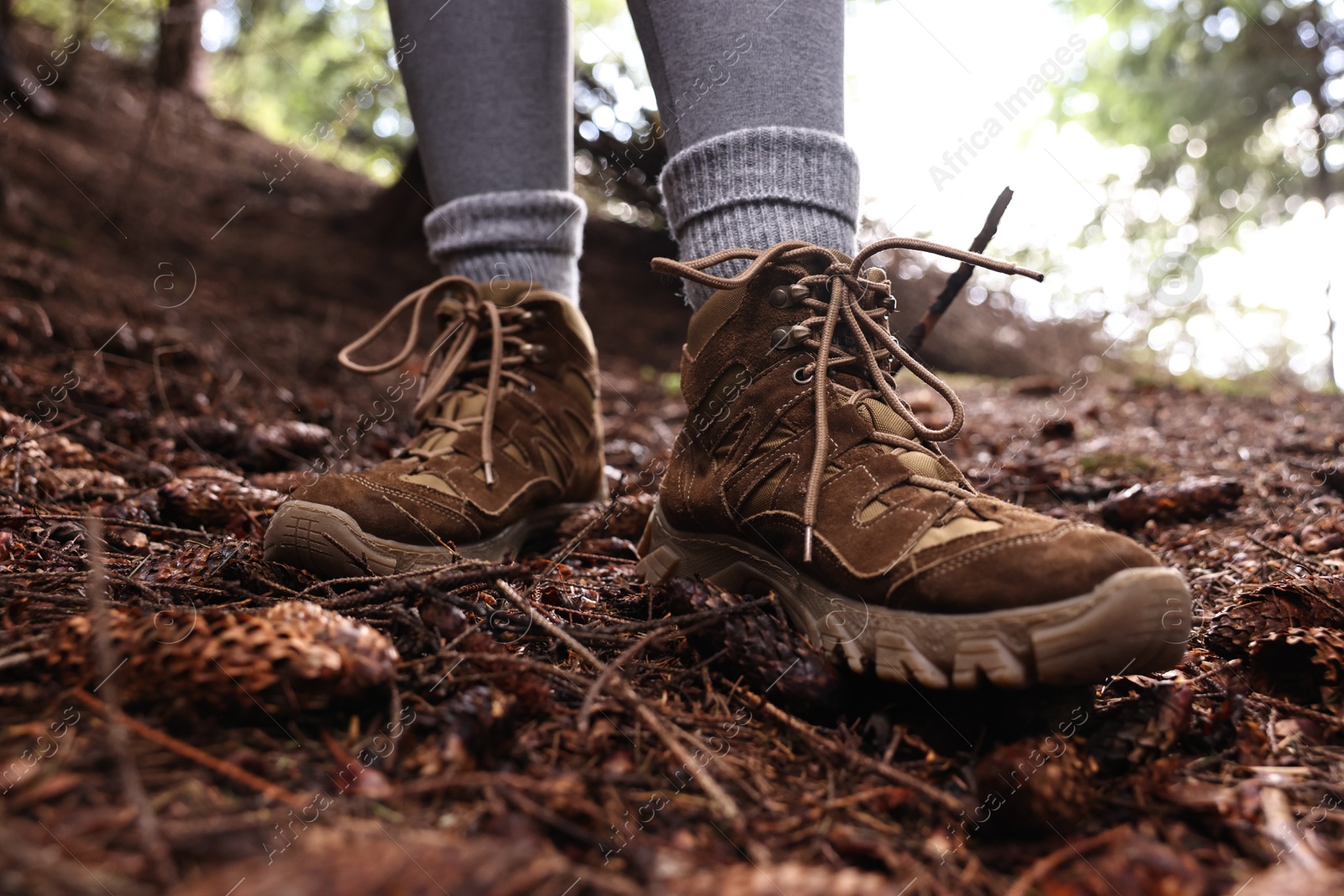 Photo of Hiker with trekking shoes in forest, closeup