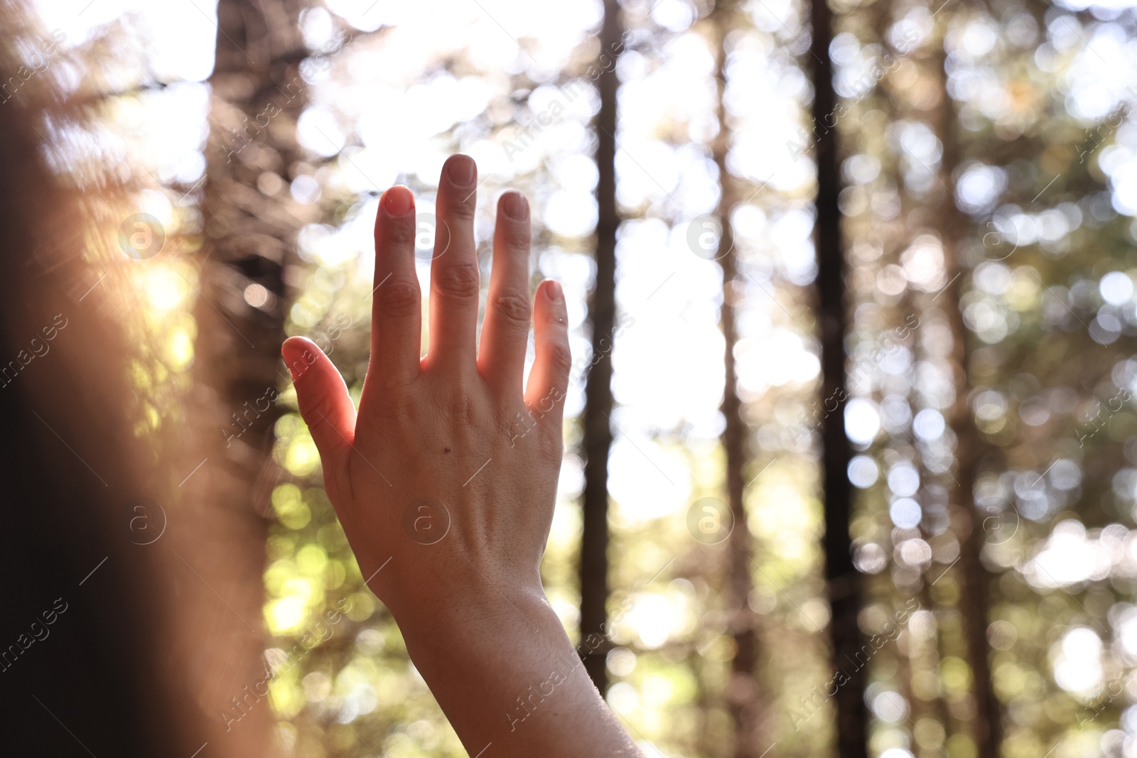 Photo of Young hiker enjoying time in forest on sunny day, closeup. Space for text