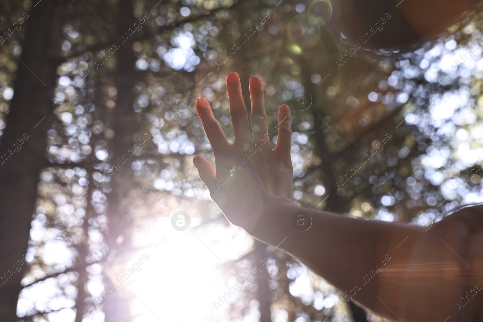 Photo of Young hiker enjoying time in forest on sunny day, closeup