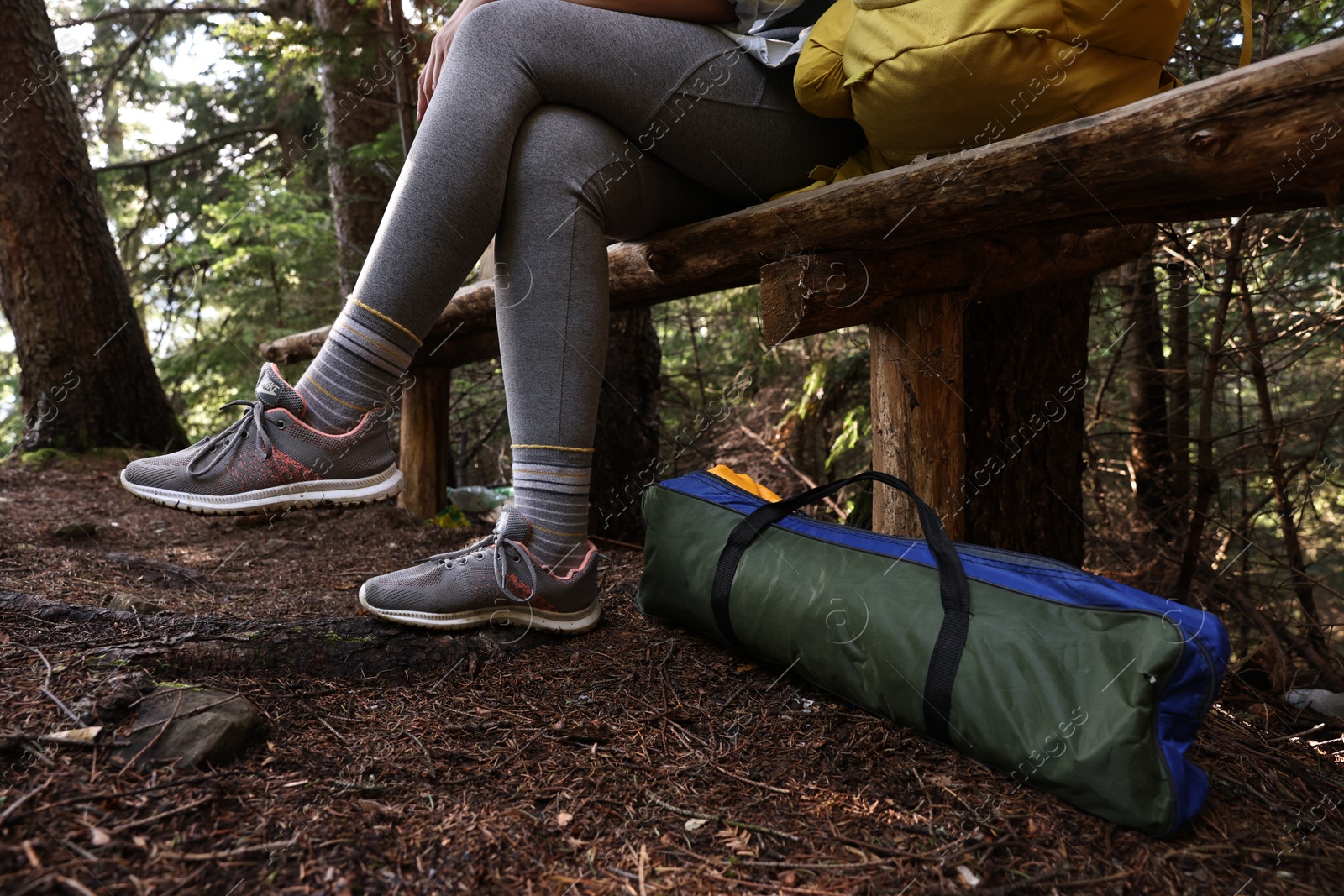 Photo of Young hiker wearing sneakers in forest, closeup