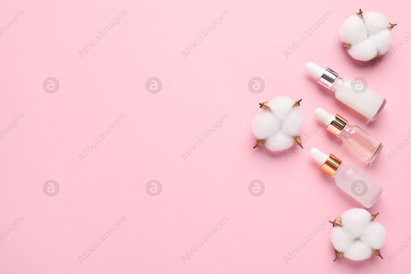 Photo of Different cosmetic products and cotton flowers on pink background, flat lay. Space for text