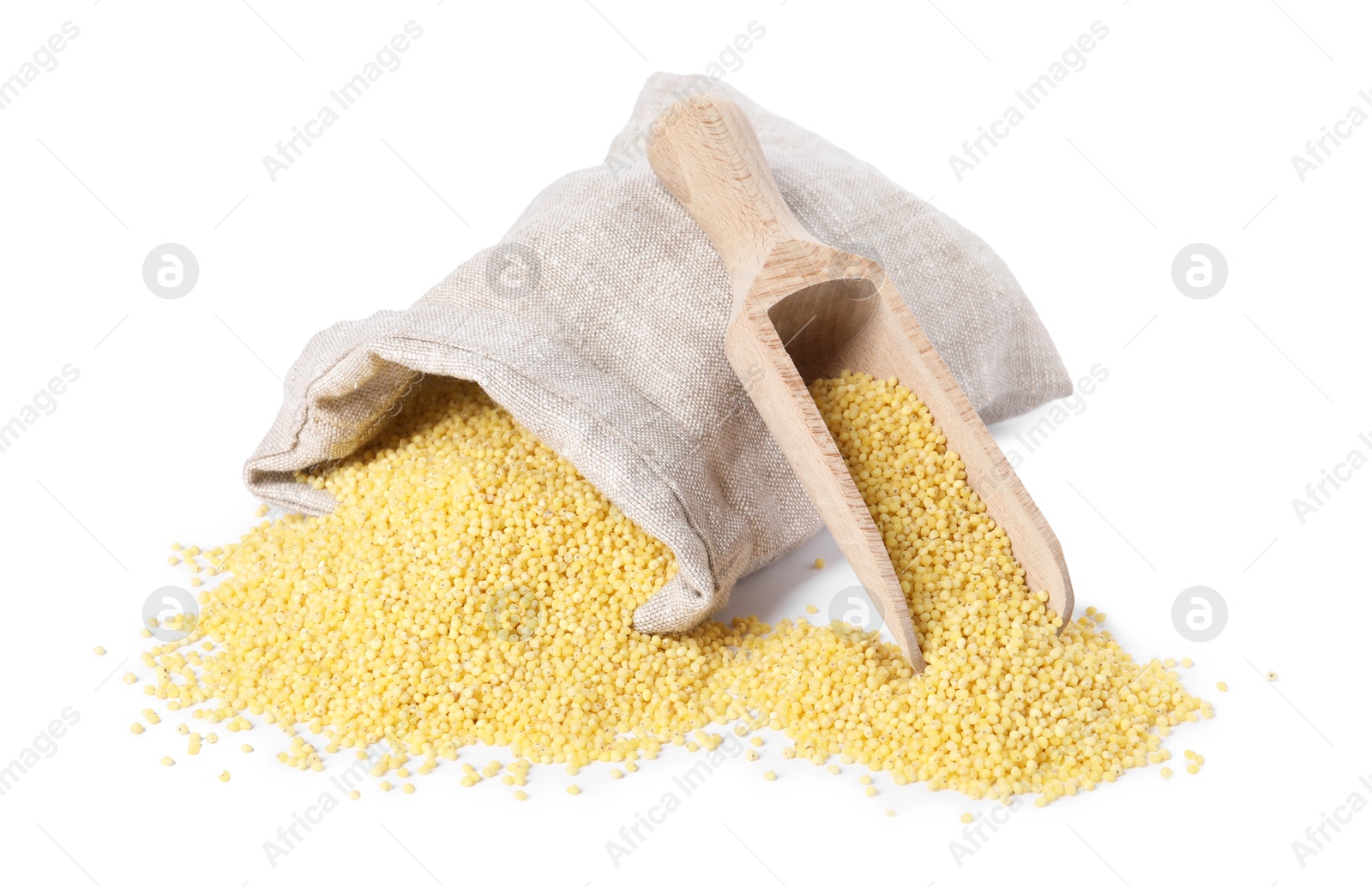 Photo of Millet groats in burlap with scoop isolated on white