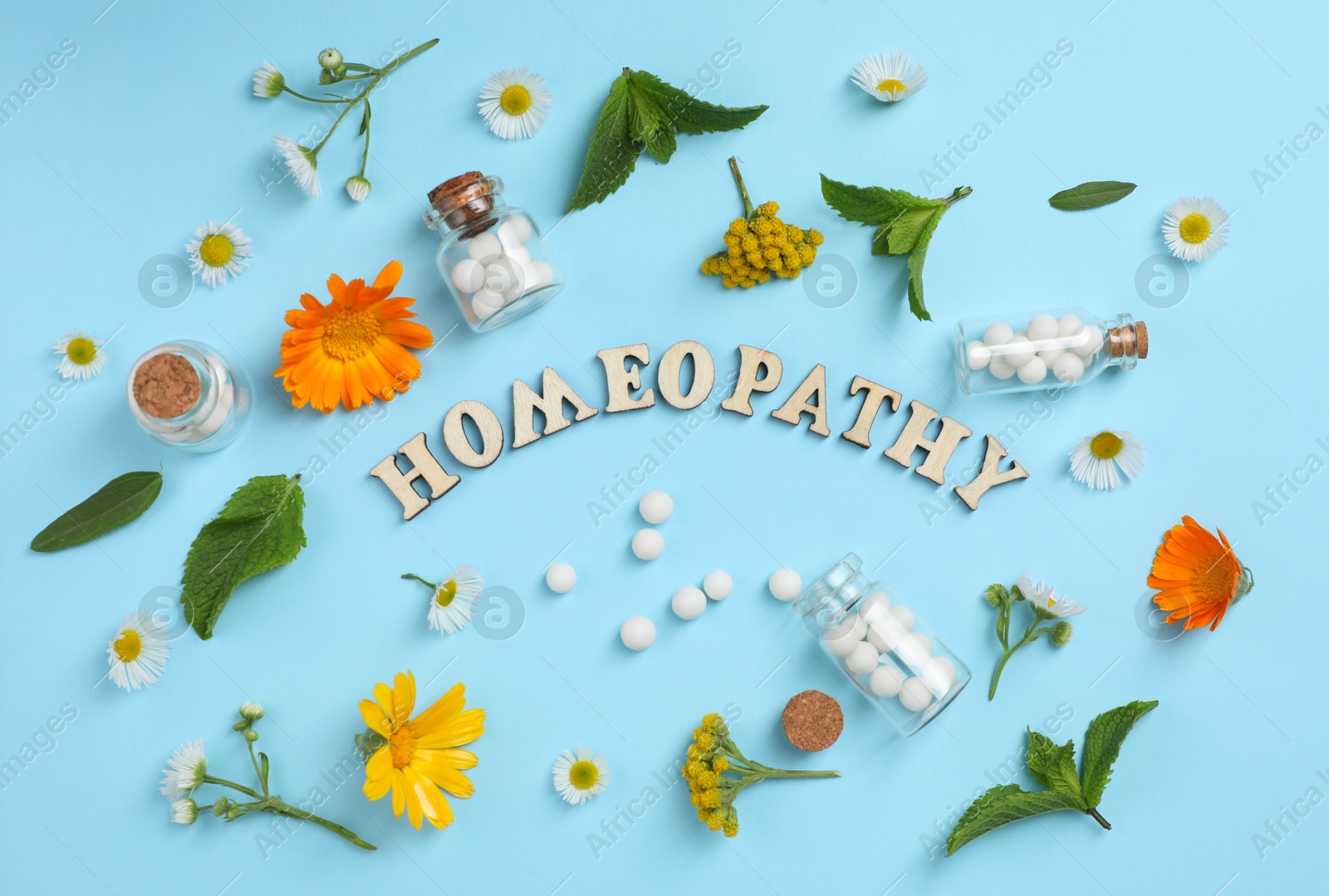 Photo of Word Homeopathy, pills and medicinal herbs on light blue background, flat lay