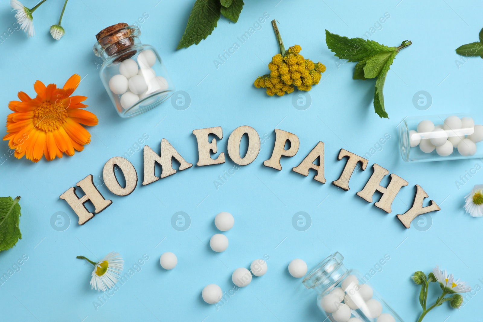 Photo of Word Homeopathy, pills and medicinal herbs on light blue background, flat lay