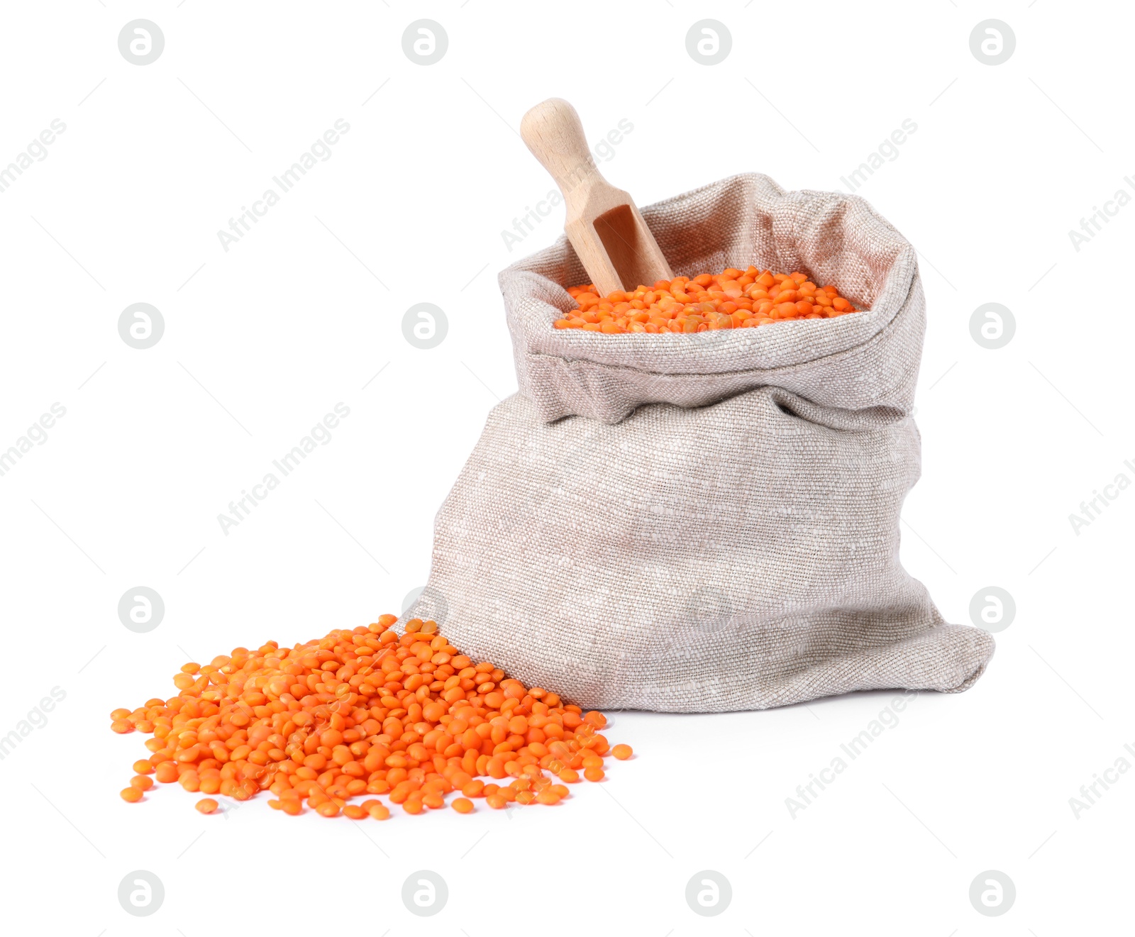 Photo of Raw lentils in burlap with scoop isolated on white