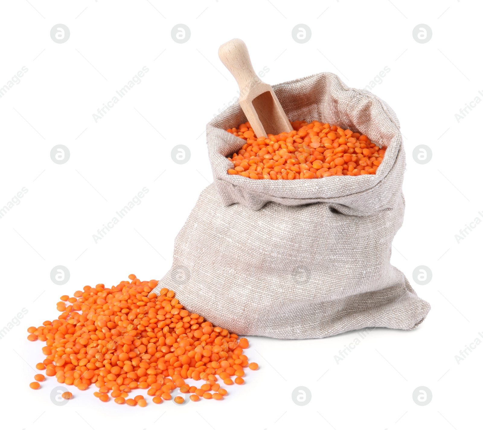 Photo of Raw lentils in burlap with scoop isolated on white