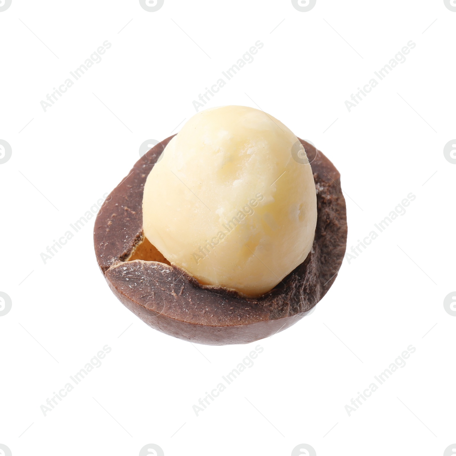 Photo of One macadamia nut with shell isolated on white