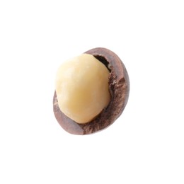 Photo of One macadamia nut with shell isolated on white