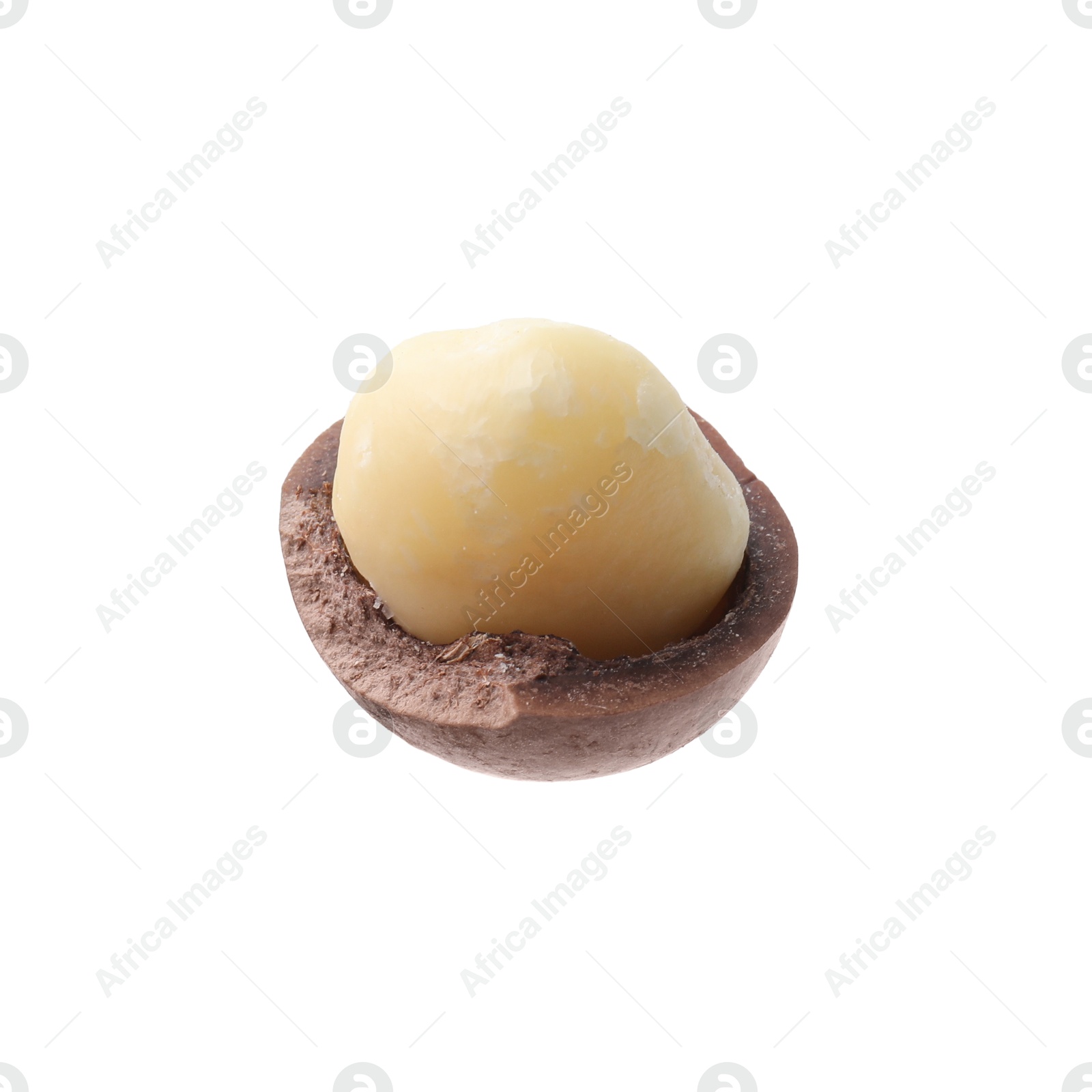 Photo of One macadamia nut with shell isolated on white