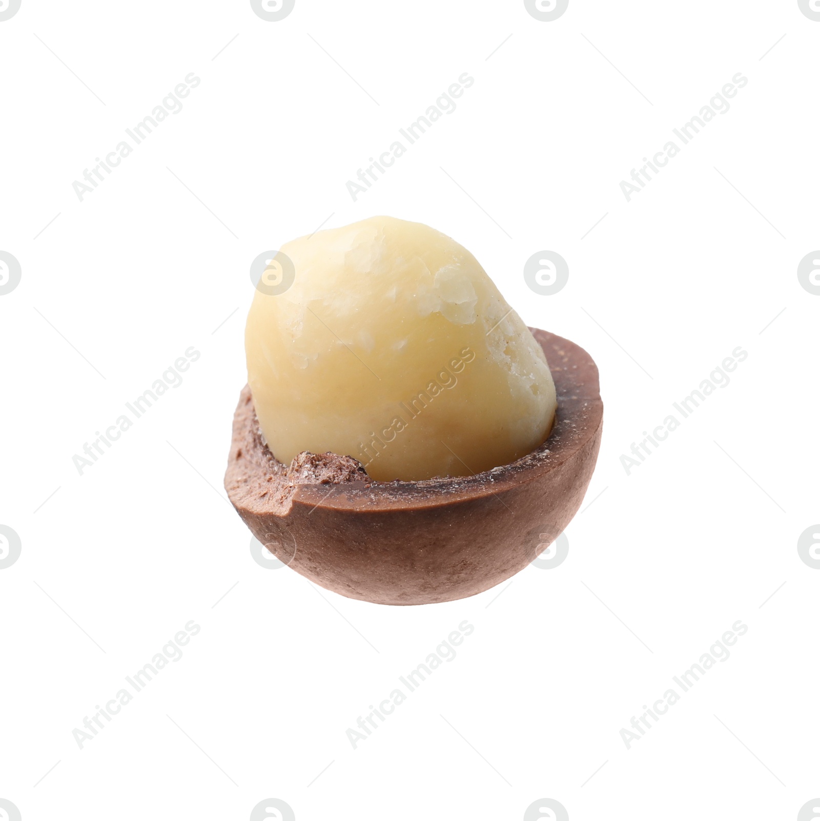 Photo of One macadamia nut with shell isolated on white