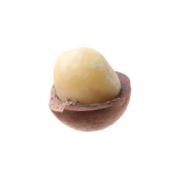 Photo of One macadamia nut with shell isolated on white