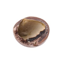 Photo of Piece of macadamia nut shell isolated on white