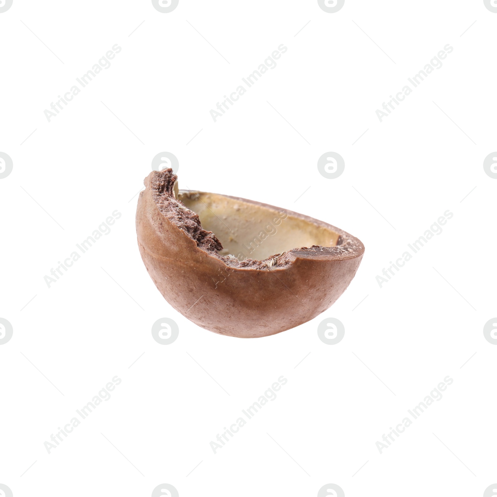 Photo of Piece of macadamia nut shell isolated on white