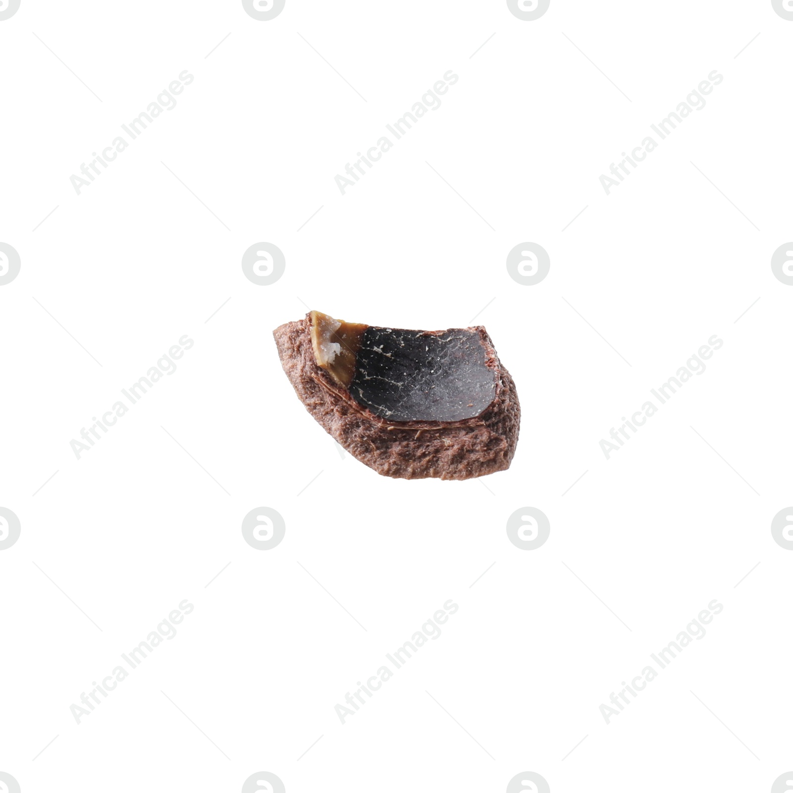 Photo of Piece of macadamia nut shell isolated on white