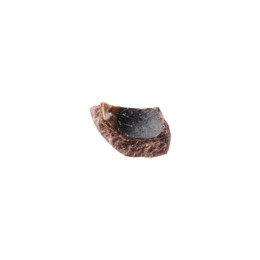 Photo of Piece of macadamia nut shell isolated on white