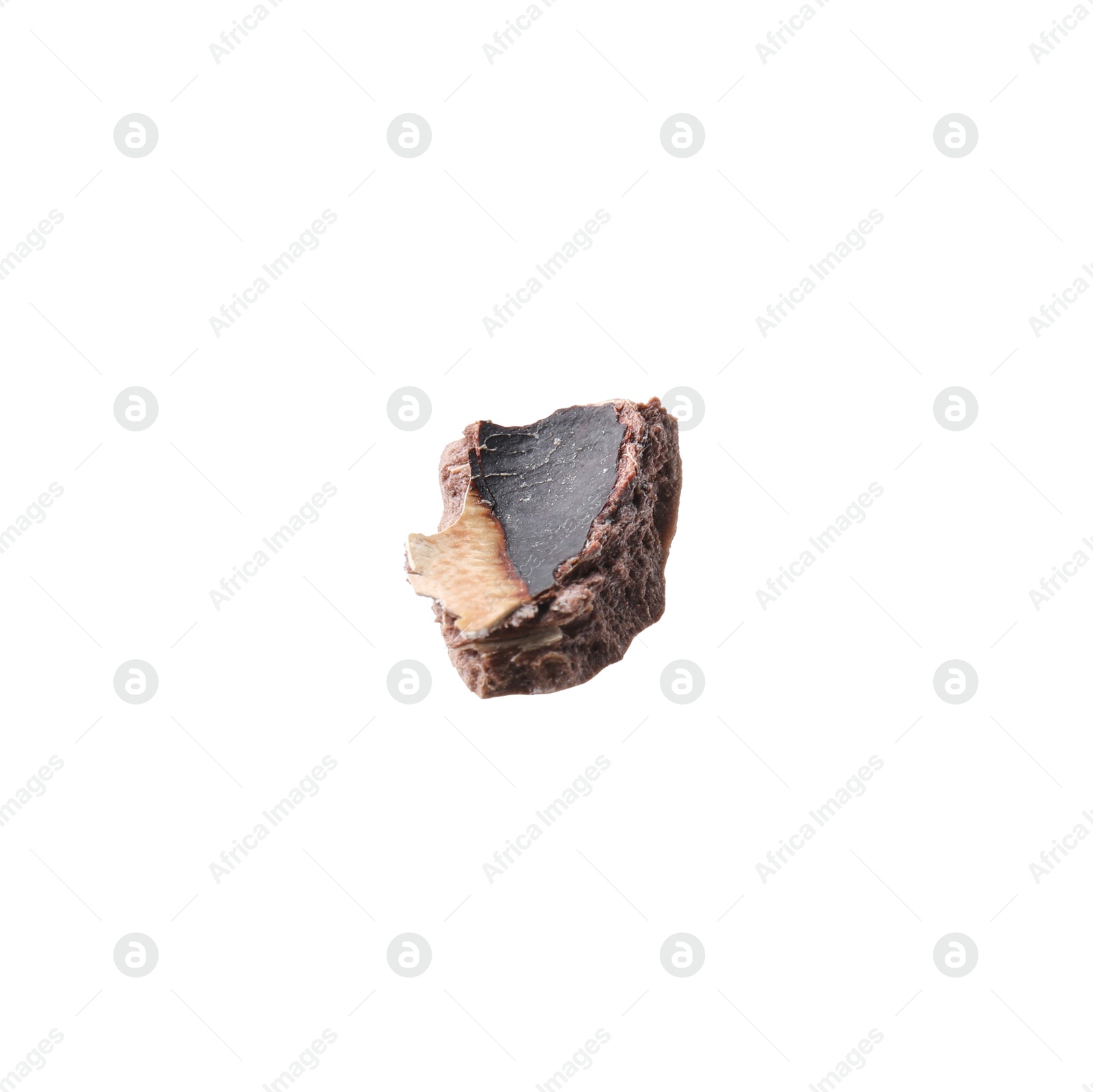 Photo of Piece of macadamia nut shell isolated on white