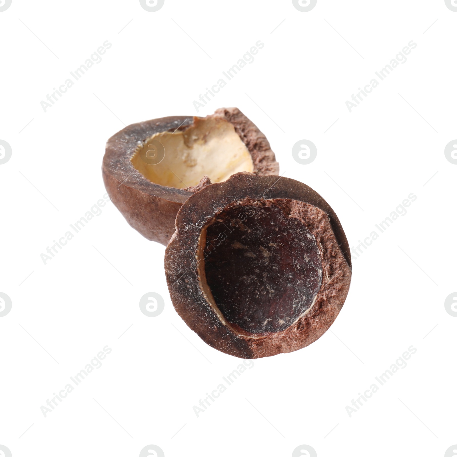 Photo of Part of macadamia nut shell isolated on white