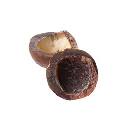 Photo of Part of macadamia nut shell isolated on white