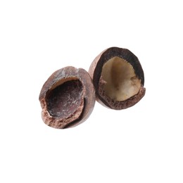 Photo of Part of macadamia nut shell isolated on white