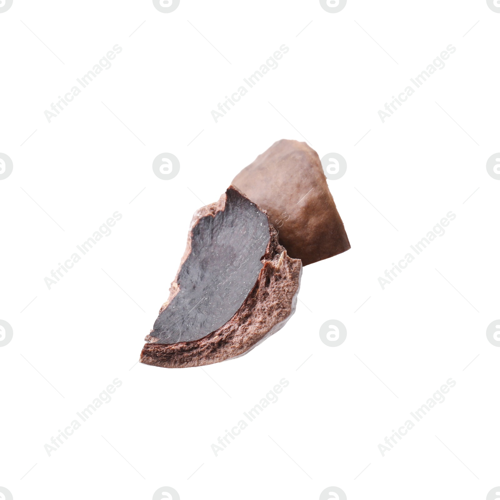 Photo of Piece of macadamia nut shell isolated on white