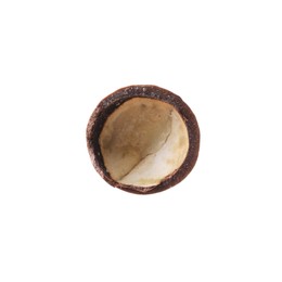 Part of macadamia nut shell isolated on white