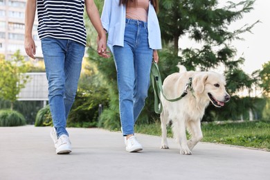 Photo of Couple walking with cute Golden Retriever dog outdoors, closeup